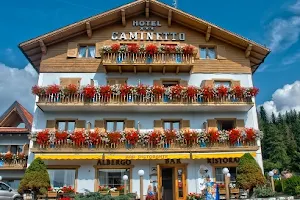 Caminetto Mountain Resort image