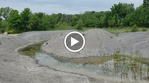 Nature Preserve «Penn Dixie Fossil Park & Nature Reserve», reviews and photos, 4050 North St, Blasdell, NY 14219, USA