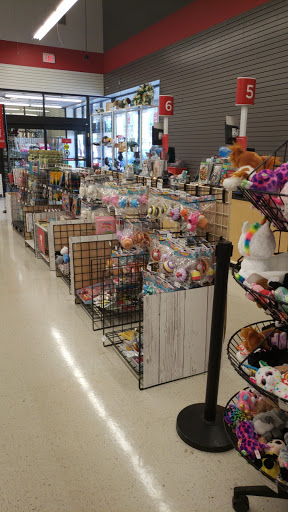 Craft Store «Michaels», reviews and photos, 1169 Nimmo Pkwy Ste 222, Virginia Beach, VA 23456, USA