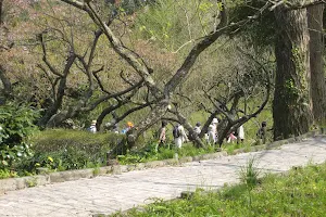 Tsujimura Botanical Garden image