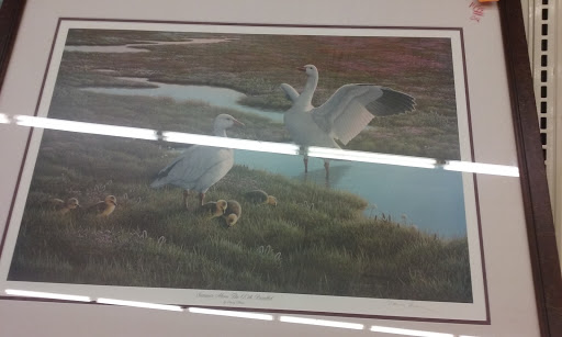 Thrift Store «Volunteers of America Thrift Store– Grove City», reviews and photos, 4026 McDowell Rd, Grove City, OH 43123, USA