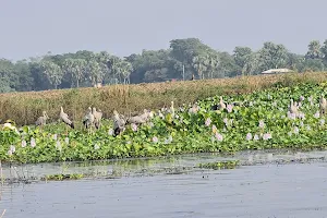 Gogabil Lake Manihari Katihar image