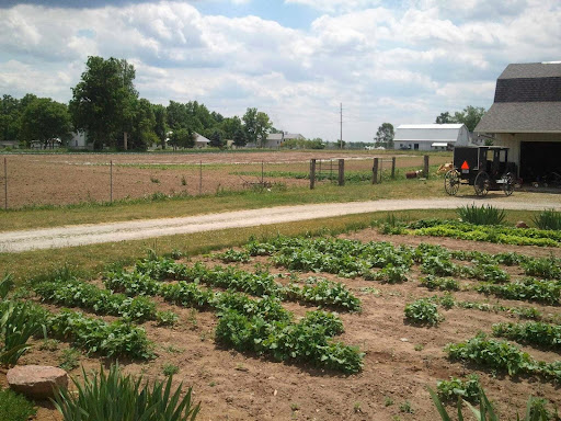 Health Food Store «Amish Healthy Foods», reviews and photos, 1025 N Western Ave, Chicago, IL 60622, USA