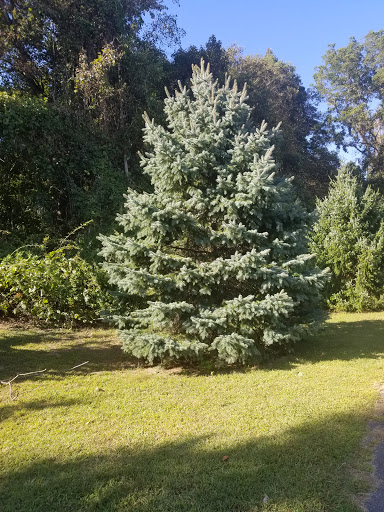 Park «Christopher Morley Park», reviews and photos, 500 Searingtown Rd N, Roslyn, NY 11576, USA