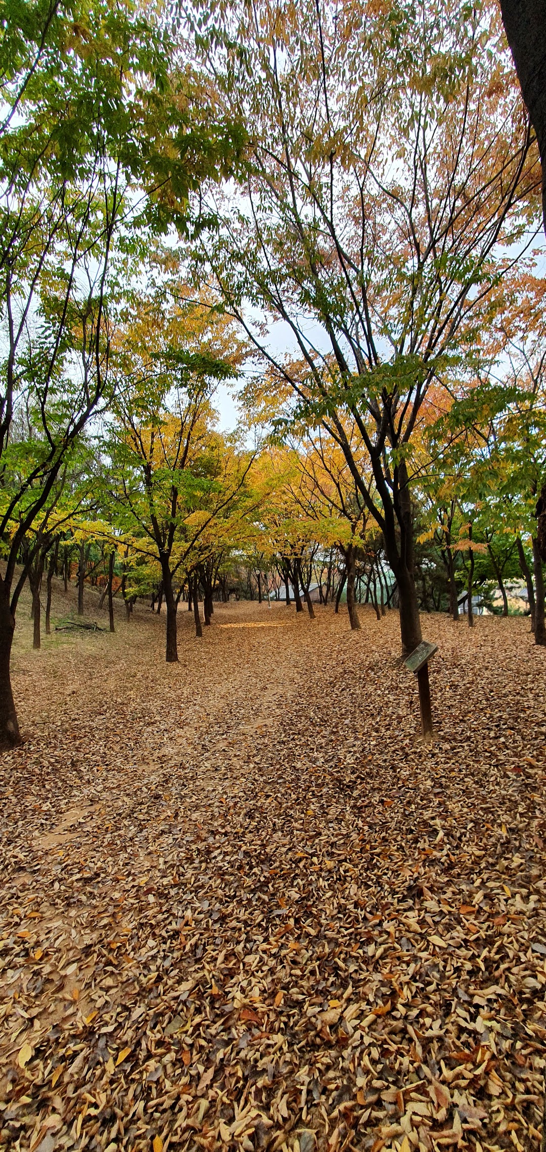 신길공원