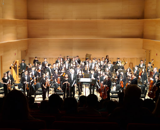 Performing Arts Theater «Adelphi University Performing Arts Center», reviews and photos, 1 South Ave, Garden City, NY 11530, USA