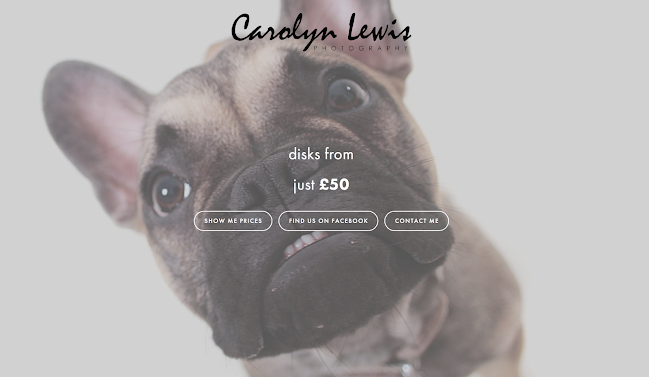 Reviews of Carolyn Lewis Photography in Reading - Photography studio