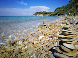 Rasa beach'in fotoğrafı ve yerleşim