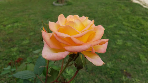 RV Park «Hidden Valley RV Park», reviews and photos, 5706 Coleman Way, Von Ormy, TX 78073, USA