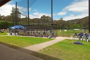 Sturt Baseball Club image