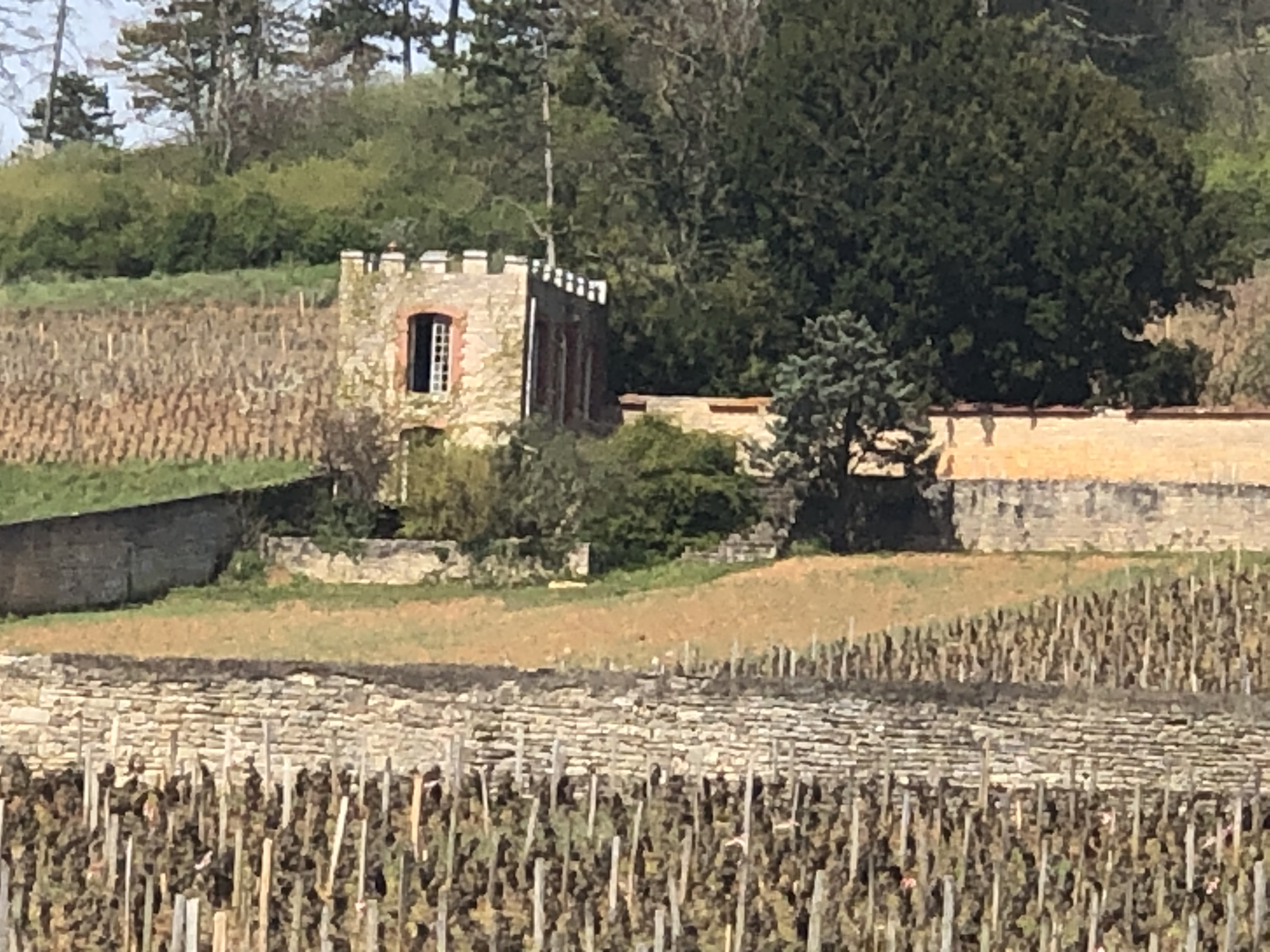 Photo n° 1 de l'avis de Len.a fait le 12/04/2022 à 18:43