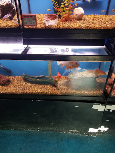 Pet Store «V.I. Pets», reviews and photos, 11975 E Lakewood Blvd, Holland, MI 49424, USA