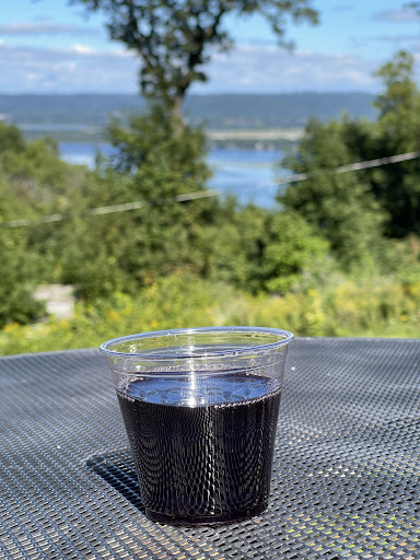 Vineyard «River View Vineyard & Winery LLC», reviews and photos, 32882 County Rd 1, La Crescent, MN 55947, USA