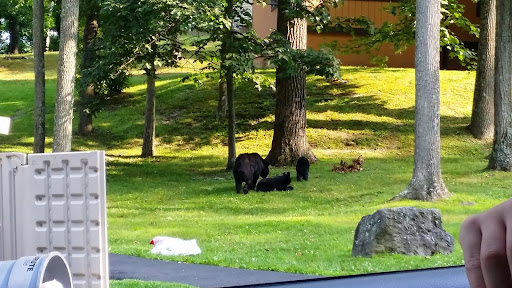 Ski Resort «Shawnee Mountain Ski Area», reviews and photos, 401 Hollow Rd, East Stroudsburg, PA 18301, USA