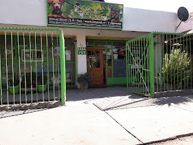 Iasavet Centro Veterinario Buin
