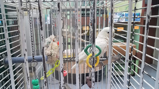 Pet Store «Pettin Place», reviews and photos, 1121 S Wells Ave, Reno, NV 89502, USA