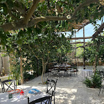 Photo n°6 de l'avis de Raffaele.i fait le 24/09/2023 à 17:24 sur le  Don Salvatore à Monte di Procida