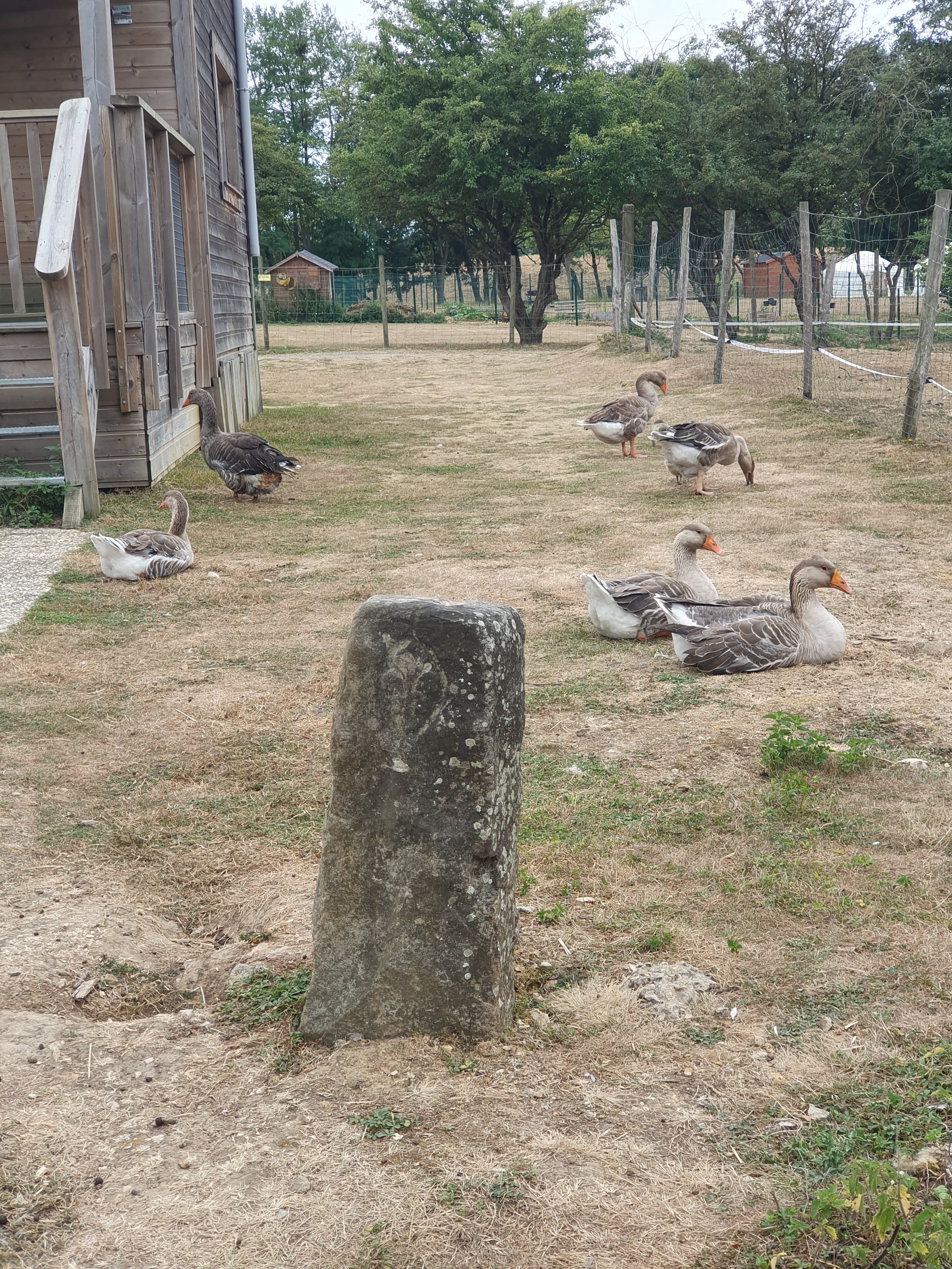 Photo n° 8 de l'avis de Liliane.o fait le 17/08/2019 à 10:37