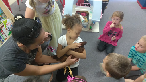 Learning Center «Little Sunshine Preschool & Learning Center», reviews and photos, 9316 Little Rd, New Port Richey, FL 34654, USA