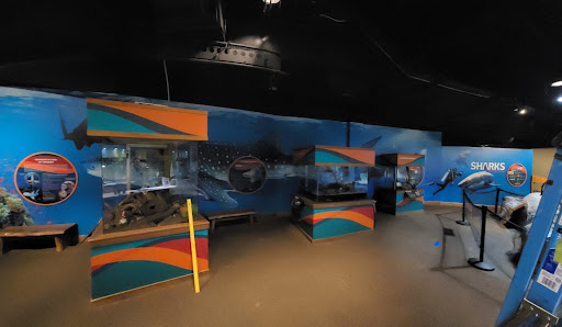 Print Shop «AlphaGraphics San Francisco Moscone», reviews and photos, 156 2nd St, San Francisco, CA 94105, USA