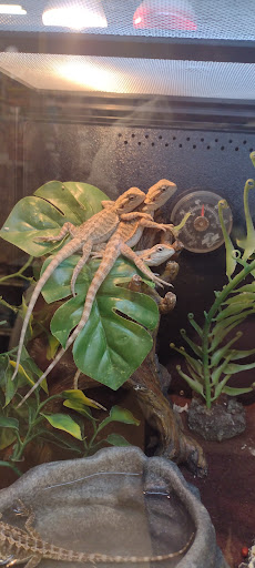 Pet Supply Store «PetSmart», reviews and photos, 450 Fairview Ave, Hudson, NY 12534, USA