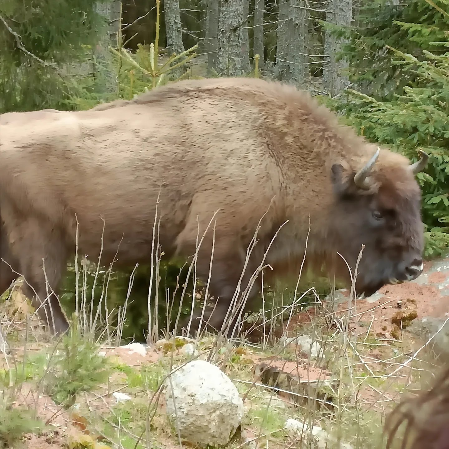 Photo n° 5 de l'avis de Melanie.o fait le 26/04/2023 à 15:56