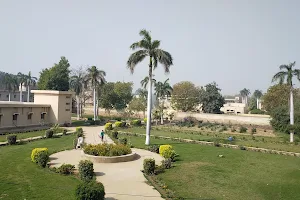 Bhutto Hostel SAU Tandojam image