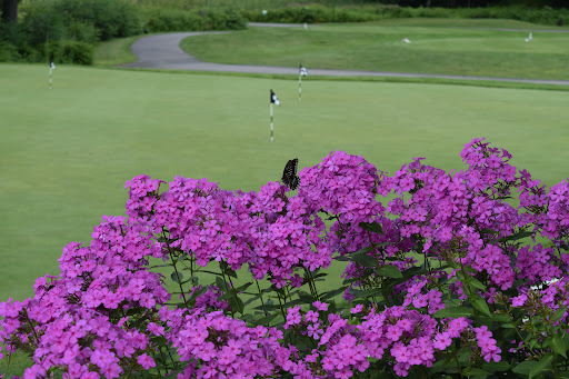 Golf Club «Cyprian Keyes Golf Club», reviews and photos, 284 E Temple St, Boylston, MA 01505, USA