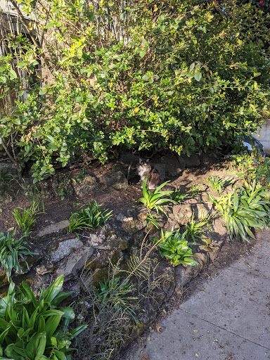 Park «Oregon Park», reviews and photos, NE Oregon St & NE 30th Ave, Portland, OR 97232, USA