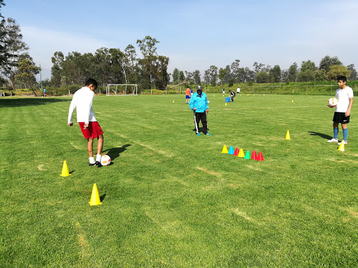 Campos De La Academia De Futbol JC Mexico