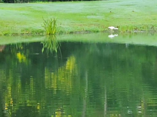 Golf Course «Orange Lake Golf», reviews and photos, 8505 W Irlo Bronson Memorial Hwy, Kissimmee, FL 34747, USA