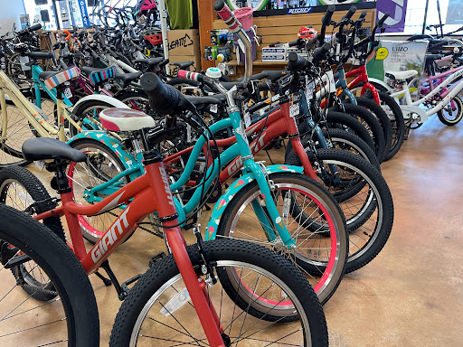Bicycle Store «Reality Bikes», reviews and photos, 20 Tri-County Plaza, Cumming, GA 30040, USA