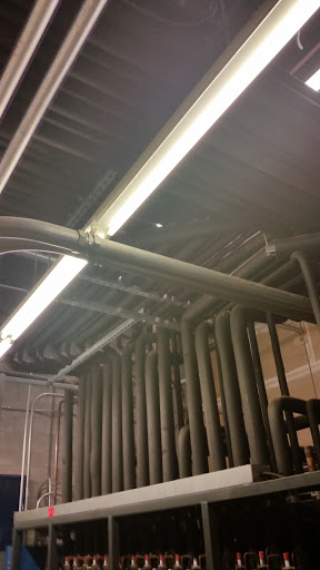 Grocery Store «Food Lion», reviews and photos, 15432 Rogers Clark Blvd, Bowling Green, VA 22427, USA