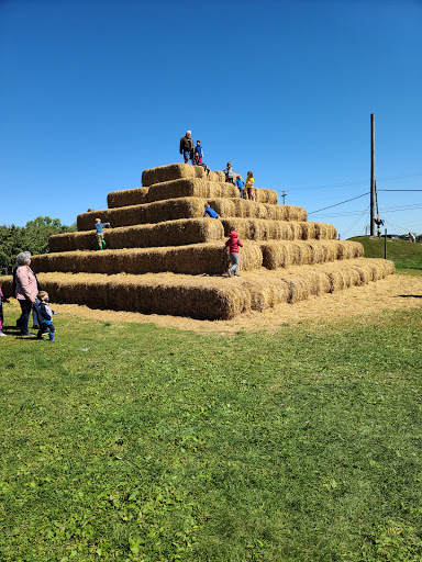 Tourist Attraction «Westview Orchards», reviews and photos, 65075 Van Dyke, Washington, MI 48095, USA