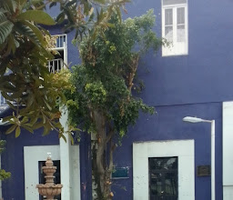 Museo Regional Tláhuac photo