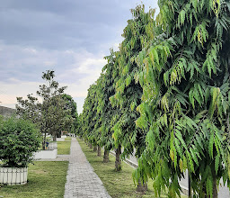Museum Perjuangan photo