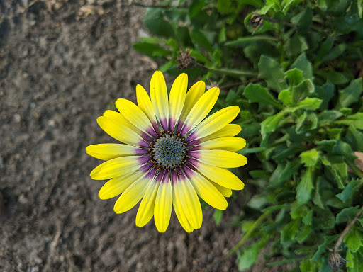 Golf Course «McKay Creek Golf Course & Driving Range», reviews and photos, 1416 NW Jackson St, Hillsboro, OR 97124, USA