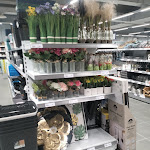 Photo n°1 de l'avis de Don.t fait le 17/04/2023 à 10:49 sur le  Action Brescia Concesio à Brescia