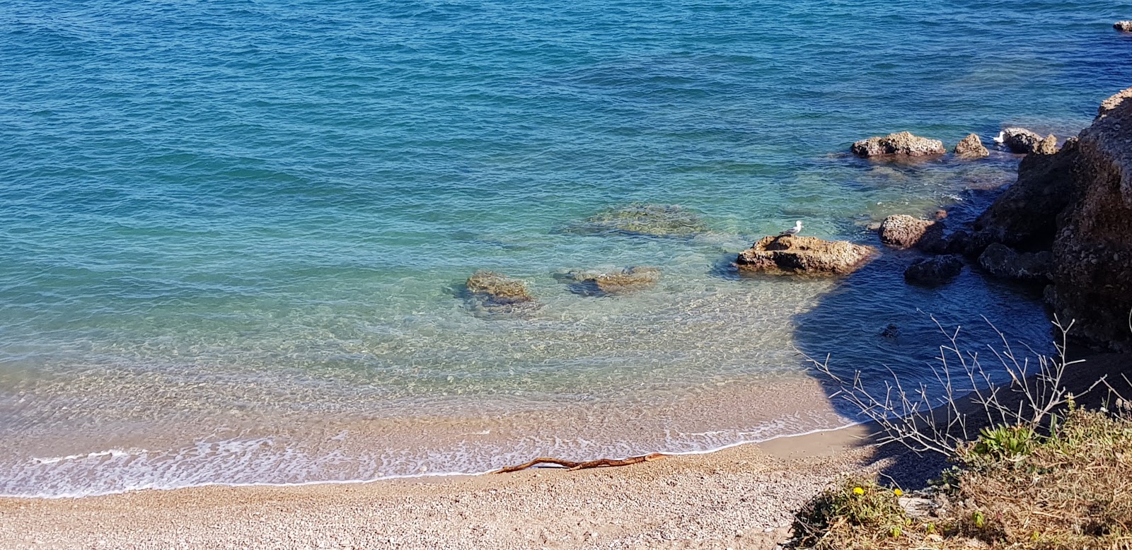 Foto di Cala del Saldonar con una superficie del acqua cristallina