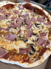 Plats et boissons du Pizzeria Pizza & Co à Lanton - n°5