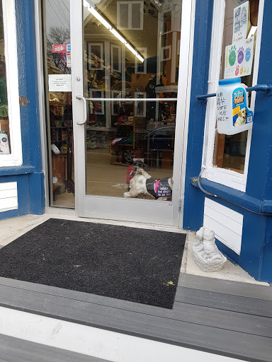 Park «Danehy Park», reviews and photos, 99 Sherman St, Cambridge, MA 02138, USA