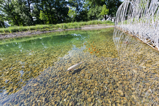 Performing Arts Theater «Richard B. Fisher Center for the Performing Arts», reviews and photos, 60 Manor Ave, Annandale-On-Hudson, NY 12504, USA