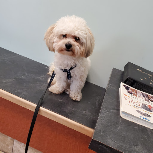 Uptown Animal Hospital: Tyler Kathryn DVM