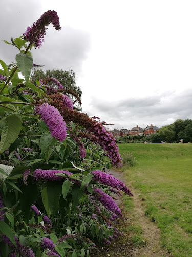 Comments and reviews of Hempshill Lane Recreation Ground