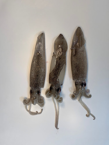 Lucas Genève SA - Carouge