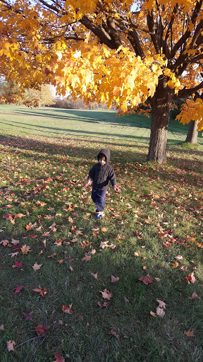 Municipality «Country Lakes Park», reviews and photos, 1835 N Aurora Rd, Naperville, IL 60563, USA