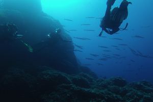 Merak Diving Fornells image