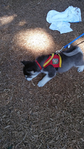 Park «DeHart Park», reviews and photos, 120 Burnett Ave, Maplewood, NJ 07040, USA