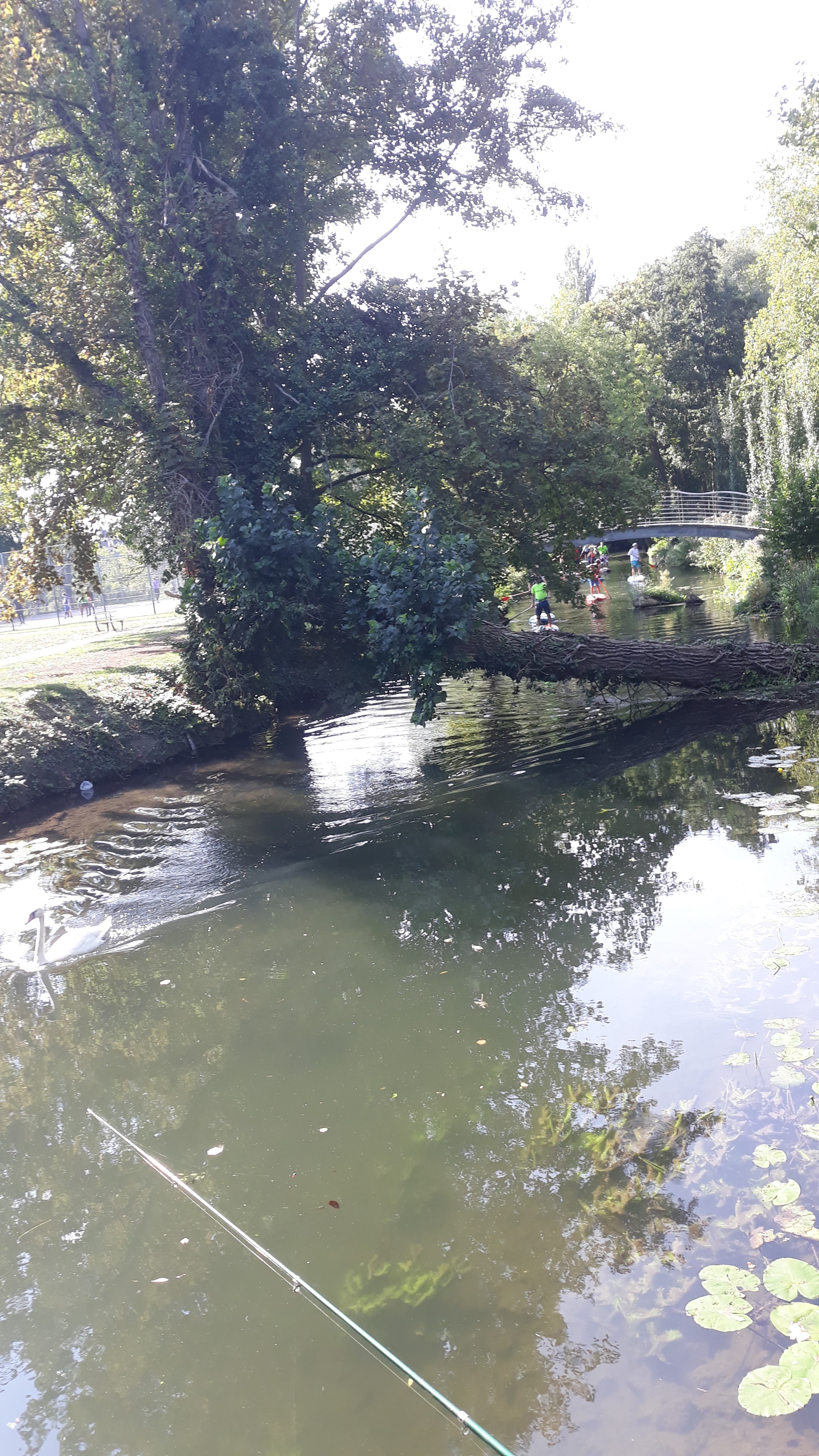 Photo n° 2 de l'avis de Snjezana.a fait le 20/09/2020 à 10:05