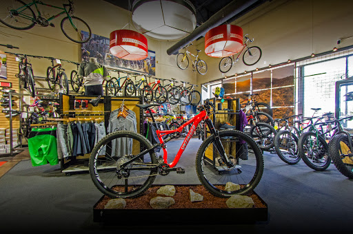 Bicycle store Gilbert